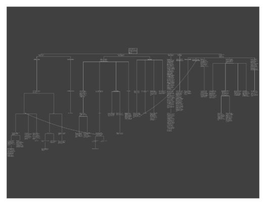Rory King VS Elliott Earls Précis
